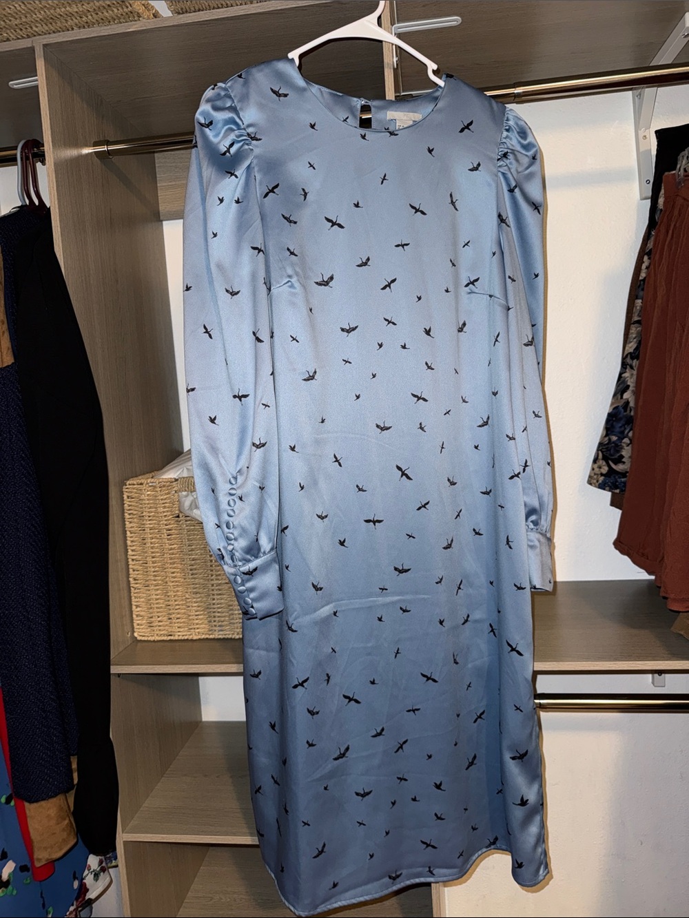H&M Light Blue Long-Sleeve Midi Dress with Bird Print